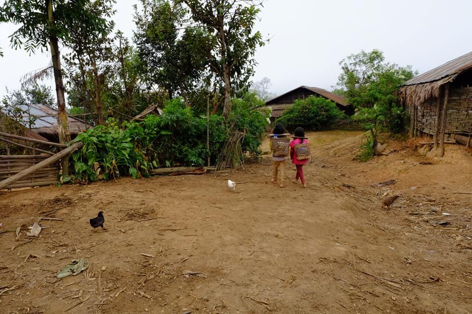 2 Days Trekking To Tribal Villages of Akha Poulee, Laobith, Akha Pala